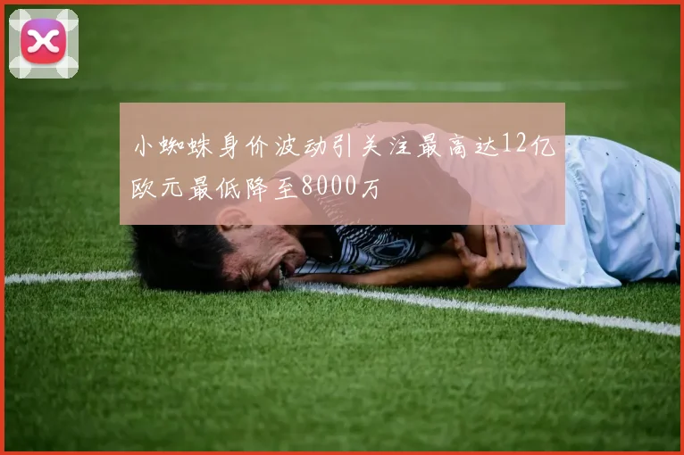 小蜘蛛身价波动引关注最高达12亿欧元最低降至8000万