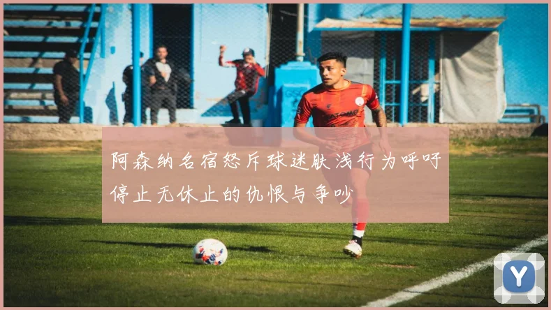 阿森纳名宿怒斥球迷肤浅行为呼吁停止无休止的仇恨与争吵